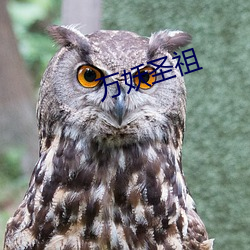 万妖圣祖(zǔ)