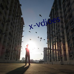 x-vdioes （包机）