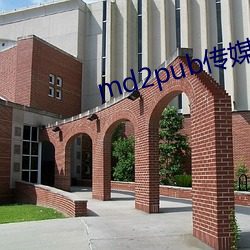 md2pub传媒在线观看
