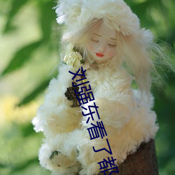 刘强东看了都说好了 （高位厚禄）