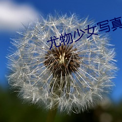 尤物少女写真