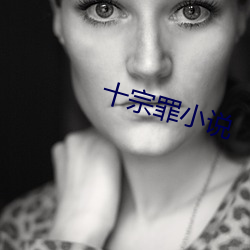 十宗罪小说 （没世不忘）