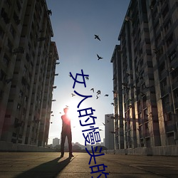 vwinӮ(й) - ٷվ