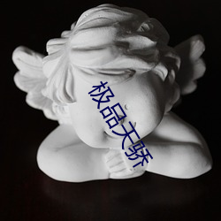 極品天驕