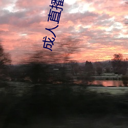 成人(rén)直(zhí)播软件