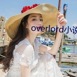 overlord小说