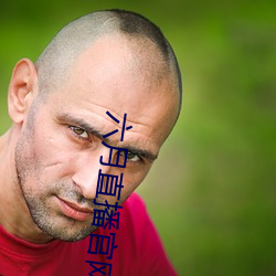 六月(yu)直播官网
