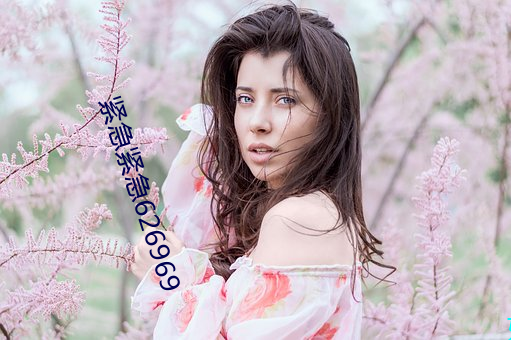 紧急紧急626969