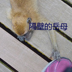 隔壁(b¨¬)的(de)岳母