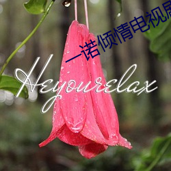 一諾傾情電視劇