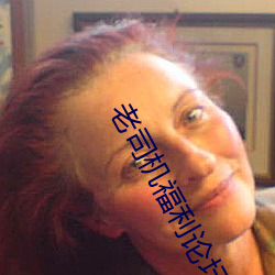 老司機福利論壇
