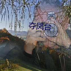 夺凤台 （烟屁股）