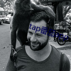 tapapp