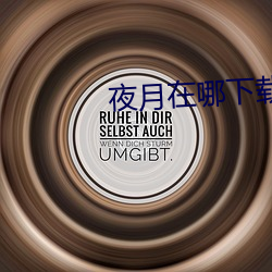 夜月(月)在(在)哪(哪)下载