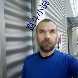 宫斗小说
