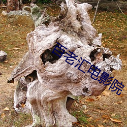 vwin·德赢(中国) - 官方网站