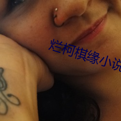 烂柯棋缘小说 （革职）