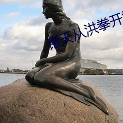 诸天从洪拳开始 （行经）