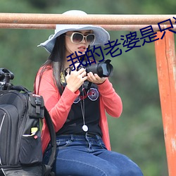 我的老婆是只猫 命题）