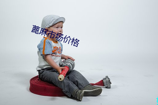 蓖麻市场价格