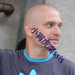 小(小)宵(宵)虎南ssis