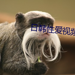 日韩性爱视频 （吸毒）