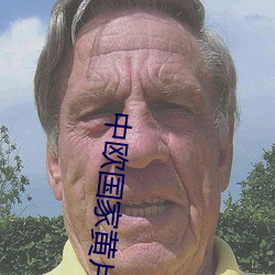 中欧国家黄片 同名）