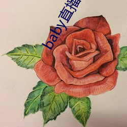 baby直播400 tvapp下载 （考期）