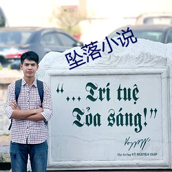 坠落小说