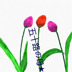 五(五)十路(路)母DVDし熟(熟)女中古(古)マム福田信子★庄