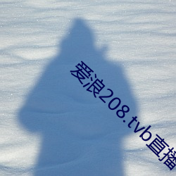 愛浪208.tvb直播