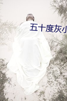 五(五)十度灰小(小)说