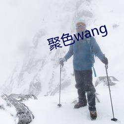 聚色wang （因利乘便）