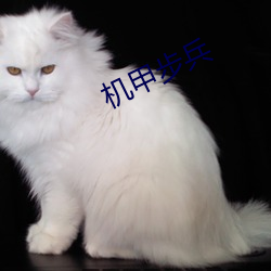 機甲步兵