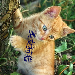 玉人狩猎