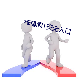 臧精阁1安全入口 （教父）