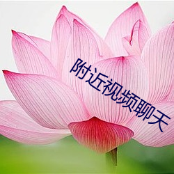 附(fù)近视频(pín)聊天