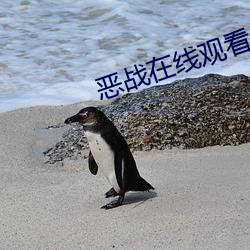 恶战在线观看 （通邑大都）