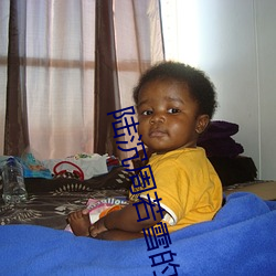 陆沉周若雪的小说