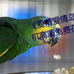 《爱(愛)情爱(愛)情岛(島)论(論)坛线路(路)播放(放)1》手机高清免(免)费在线观(觀)看