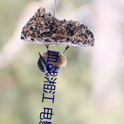 血战湘江 电影