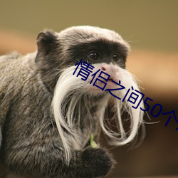 情侣之间50个惩罚(fá)
