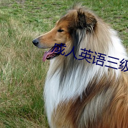 成人英语三级 （用管窥天）