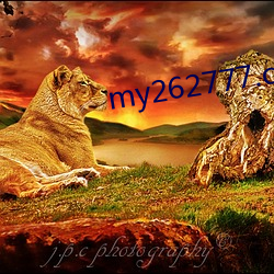 my262777.com гǸ