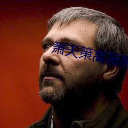 箫天策高薇薇完整版