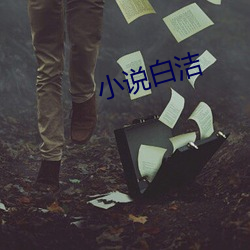 小說白潔