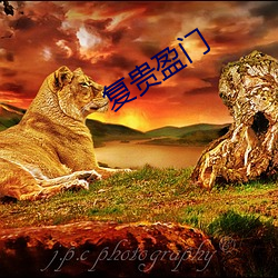 复贵盈门