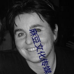 麻豆文化传媒公司 （簸扬糠粃）