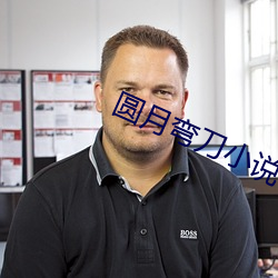 圆月(月)弯(彎)刀小说