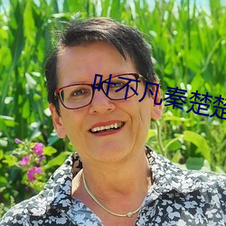 叶不凡秦楚楚免费阅读